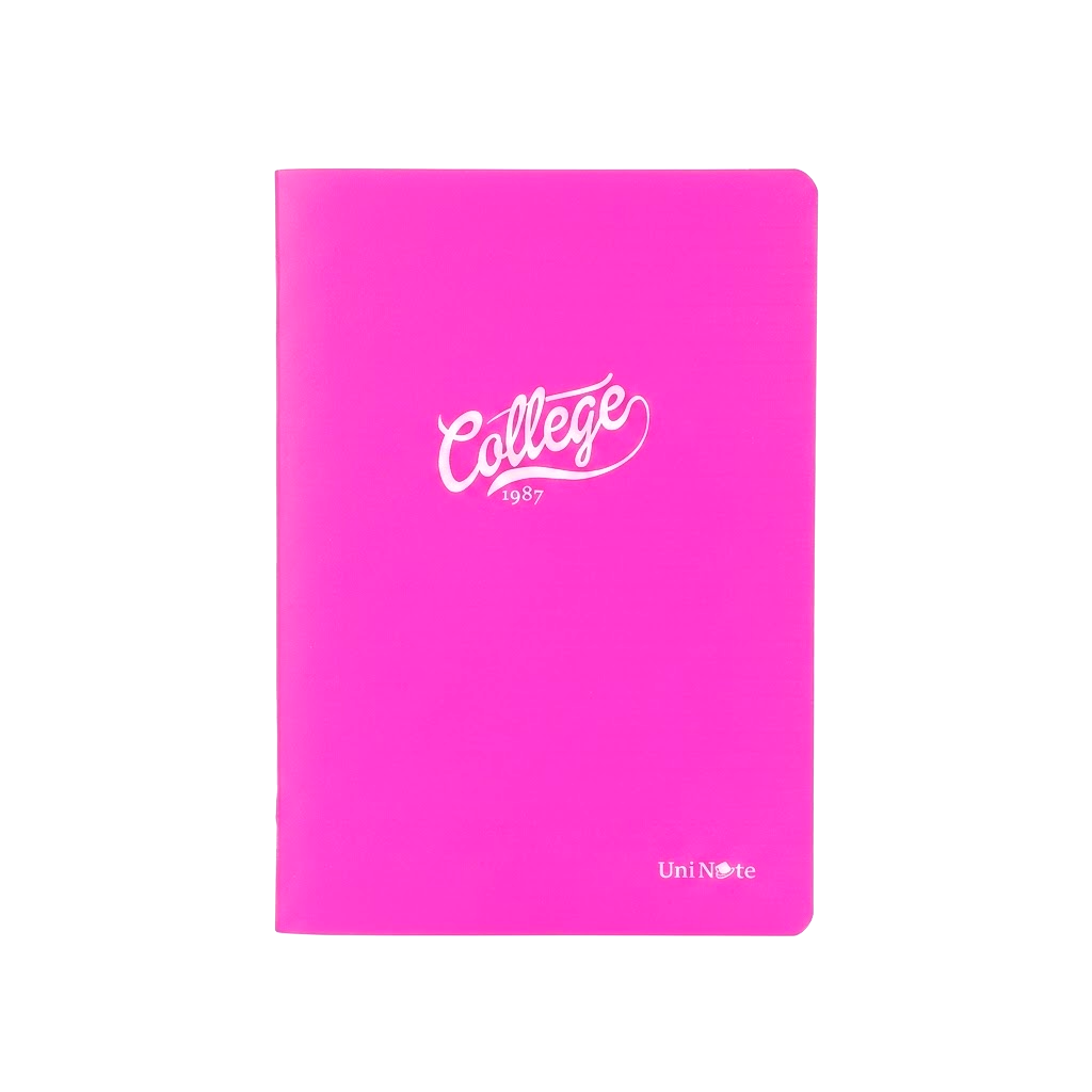 60 Yaprak PP Kapak A4 Defter Çizgili