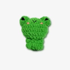 Floyd The Frog